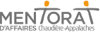 Logo MENZORAI Data & AI Solutions
