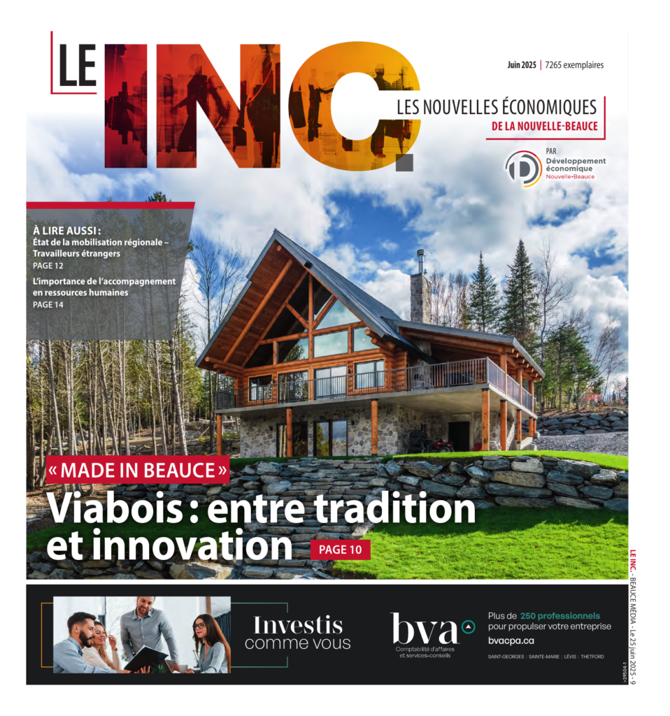 Couverture magazine économique avec chalet en bois