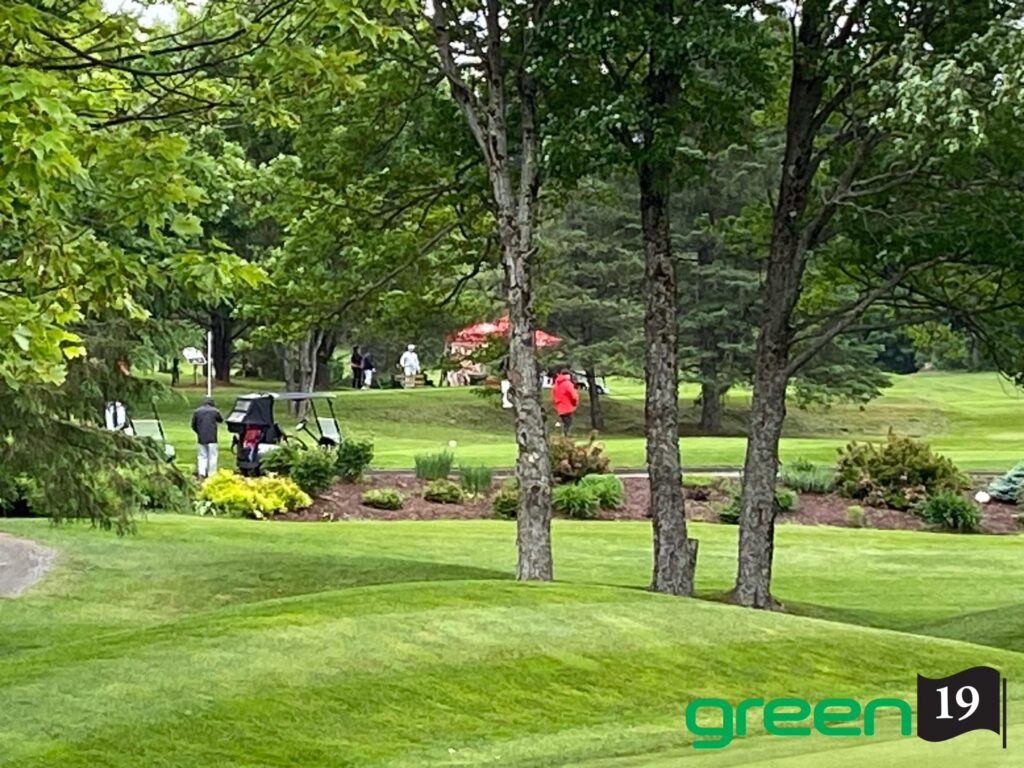 Parcours de golf verdoyant avec joueurs et voiturette